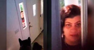 VIDEO: Mujer amenaza a vecinos con matar a su perro por no compartirle el WiFi