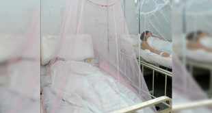 Pediatra hondureño: el dengue es una enfermedad curable y prevenible