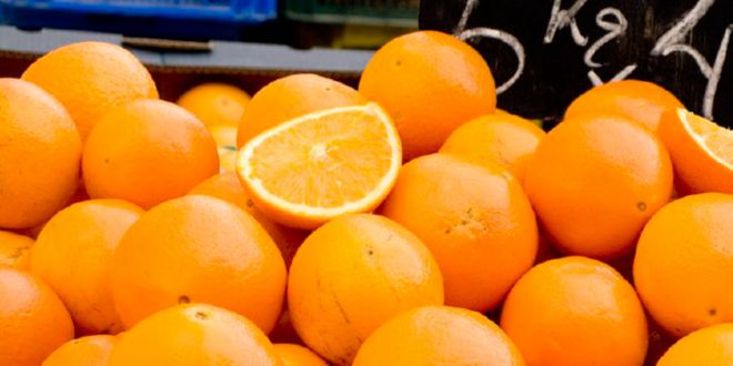 Exportador: 50,000 toneladas de naranja pueden salvarse