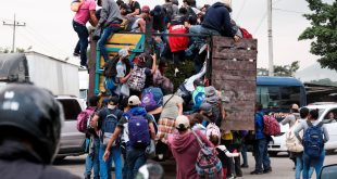 Experto en derecho: “Gobierno debe crear fuentes de empleo para evitar caravanas migrantes”