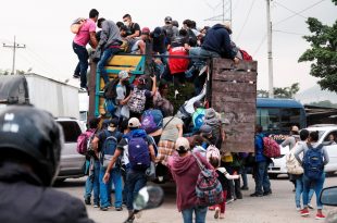 Experto en derecho: “Gobierno debe crear fuentes de empleo para evitar caravanas migrantes”