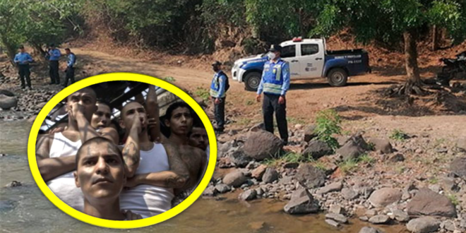 Redoblan patrullajes en frontera de Honduras y El Salvador para evitar posible ingreso de pandilleros