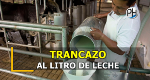Anuncian incremento de L.4.00 por el litro de leche en Honduras