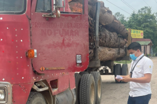 En marcha “Operación Gaia IV” para frenar delitos ambientales en Honduras