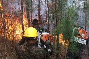 Incompetencia de ICF y FFAA deja 98.000 hectáreas afectadas por 1.202 incendios forestales en Honduras