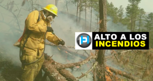 Urge campaña para prevenir los incendios forestales en Honduras