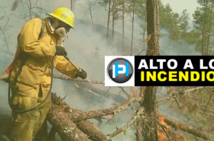 Urge campaña para prevenir los incendios forestales en Honduras