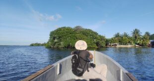 Isla de Los Pájaros, paraíso en riesgo por deterioro alertan ambientalistas