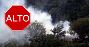 Honduras pone en marcha campaña preventiva “Si vas a quemar, que no sea tu bosque”