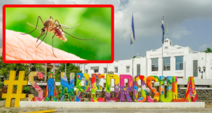 Autoridades sampedranas declaran emergencia por aumento de casos de dengue