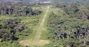 La ONU alerta de la “narcodeforestación” del Amazonas, partes de México y Centroamérica