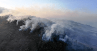 Incendios Forestales dejan 123,801 hectáreas devastadas en Honduras