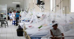 Hospital Escuela ingresa 42 niños más por dengue