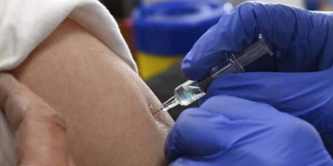 Salud anuncia jornada de vacunación y desparasitación a nivel nacional