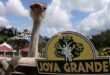 Expertos del ICF inspeccionarán animales en zoológico Joya Grande