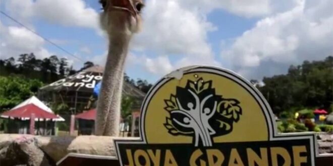 Expertos del ICF inspeccionarán animales en zoológico Joya Grande