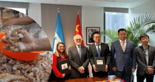 Honduras firma primeros contratos para la venta camarón a China