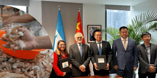 Honduras firma primeros contratos para la venta camarón a China