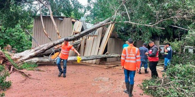 amdc-atiende-mas-de-30-derrumbes-e-inundaciones